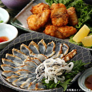 LYƂӂtEӂgZbg(BTA-K)yYnFⓀz