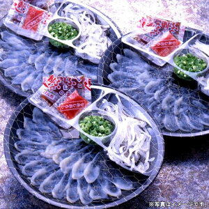 LYƂӂhgO@CZbg(ETZ-12)yYnFⓀz