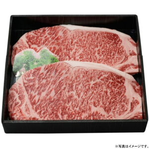 {苍T[CXe[L200g×2iMS-02jiFcJpj[Ёjy[J[FⓀz