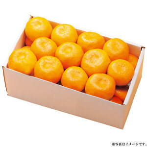 和歌山県産有田みかん 2.5kg(fw-ar2.5kg)≪お届け期間:11月下旬〜12月中旬≫【お届け日指定不可】【産地直送】