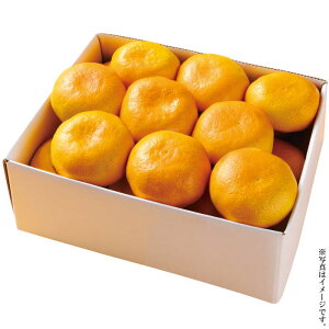 Q݂@2kgifw-em2kgjႨ͂:11{`12{yYnzy͂wsz