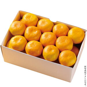 Q݂@3kgifw-em3kgjႨ͂:11{`12{y͂wszyYnz