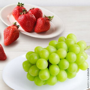 VC}XJbgƂiw-sisNjy͂wszyYnzႨ͂:11{`1215