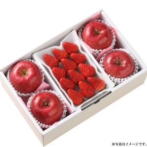 ƃTӂifw-i1r4jy͂wszႨ͂:11{`12{yYnz