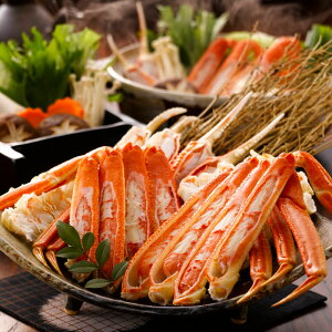 {C{킢Ɂ@800gi800KHSjyYnz