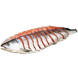 kCѐV@p؂g1.6kgi14^jiMS-016CEjyYnz