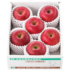 ݉̎R`YTӂi13252041jႨ͂:12{`12{yYnzy͂wsz