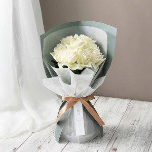 zVt@[͂pł̂܂܏X^fBOKNu[P@sA8{iFMZ-01BjyYnz