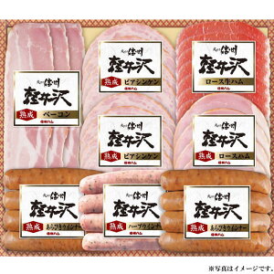 信州ハム軽井沢バラエティーギフトセット(SK-480)【メーカー直送】