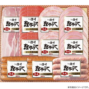 信州ハム軽井沢バラエティーギフトセット(SK-510)【メーカー直送】