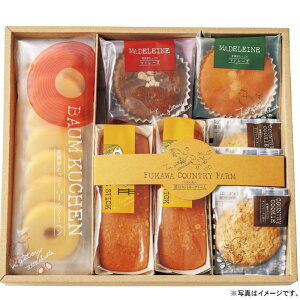 yIׂ锠i1`10jz[Jg[t@[LgXC[cZbg@BiFFC-02Ajy݉iz