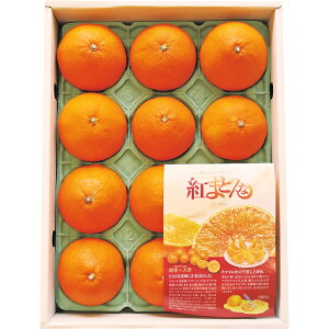 QY@g܂ǂȁiBENI-F0jႨ͂:12{`12{yYnzy͂wsz