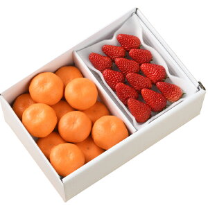 Ƃ݂ifw-itmjy͂wszႨ͂:11{`12{yYnz