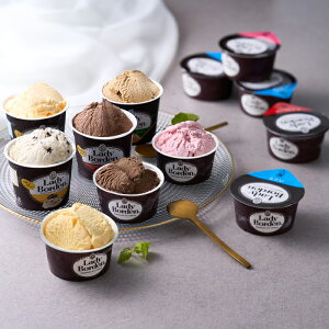 レディーボーデンカップ17個セット(S057)【メーカー直送】