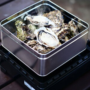 LỹJJĂiH-KY16jy[J[z