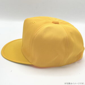 yoׁzʊwpFXq@싅^LTCY^57cm@1AWX^[ty݉iz