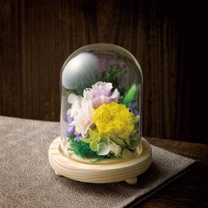 yIׂ锠i1`10jzKXh[(^)15.5cmu͂Ȃd̂ԁviC37020jy݉iz