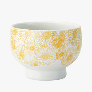 yIׂ閇i1`10jzfCW[@܂q@(25314)y݉iz