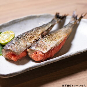 ܂kC킵i25-5025 19jyYnz