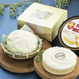 kC@炭I`[YP[LZbgN24i25-5004 19jy[J[z