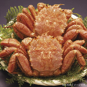 北海道産ボイル毛がに2尾(32)(016-C052)【産地直送】