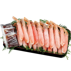 킢ɂԃ|[V600gi016-C040jyYnz