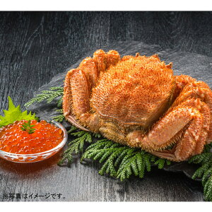 北海道 カネコメ田中水産毛がに・いくらセット(25-5026 39)【産地直送】