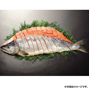 Ogۂ̋␹Vp@2.5kg(S-552301)yYnz