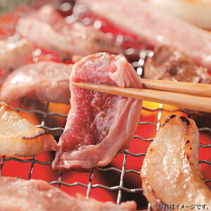 O@ēZbgEē̂tiMTY-20GjyYnz