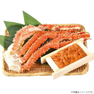 y400ZbgzkC@ۍYkCYڈ΃otEjEkCY΂ɋrZbgS-550513)yYnz