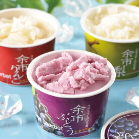 北海道 余市フルーツシャーベット（5000156）【メーカー直送】