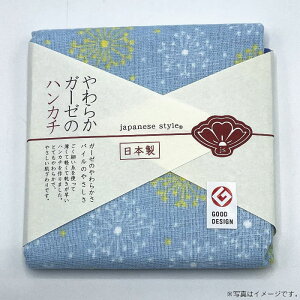 yoׁz炩K[[̃nJ`ڂԉ΁y{zij(JS-4123)y[֔@݉iz