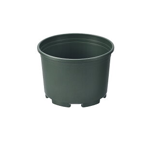 �y�Z�b�g����z10�Z�b�g �v���X�`�b�N�v�����^�[ �ی^��i20cm�j echo1599-810AR�yt5�z