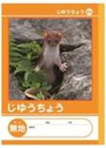 yZbgz10Zbg 䂤傤 n@nikkenNKB-B5G-JIHARyt5z