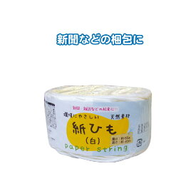 【セット売り】10個セット 紙ひも（白）（85g・50m） seiwa40-009AR【t5】