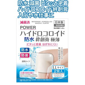 yZbgz20Zbg ŋۖhnChJnpɔLL2P 55×70mm { JnpJbgo seiwa41-306yt5z