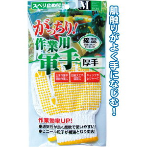 yZbgz12Zbg ȍƗpR芊~ߕtM y؍ƂjHLv⃌W[ seiwa45-631AKyt5z