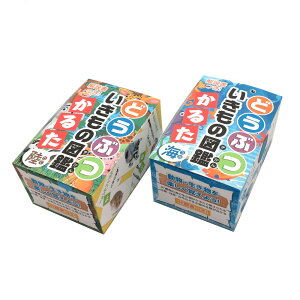 【セット売り】10個セット どうぶつ・いきもの図鑑かるた 動物生き物生物カルタ parl134-NPAT-1-5AR【t5】