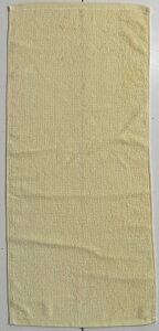 tFCX^ICG[@~jy[֑Ή2܂œz