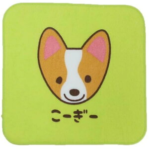 1`//3Zbg/5Zbg @[hV[Ovg ~jnJ` t^InJ`}\1000~ inukai IT15SH@ܓyt5z