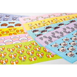 yz[hV[Ovg tFCX^I tFCX^I inukai IT76SF-yt5z