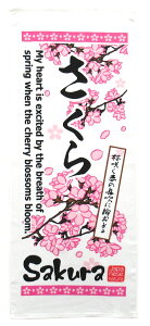 @ӂ킳^I {̂ tFCX^Ia{@\͂炳K[[A͂ӂӂpCD@COŐlC̃fUC inukai