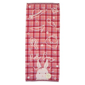 veBoj[tFCX^I@QƂ炳K[[̃^IK[[^I@ETMAj}@inukai256KM-CARy[֑Ή2܂œzyt5z