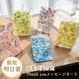 【メッセージカード】Thank you カード Letter Gift 花びら お花 封筒 おしゃれ はがき ハガキ ドライフラワー ブリザードフラワー 天然素材 日本製 プチギフト誕生日 贈り物 挨拶 誕生日 退職 転勤 お礼 お返し 感謝 女性 手作り 即日発送 hikka