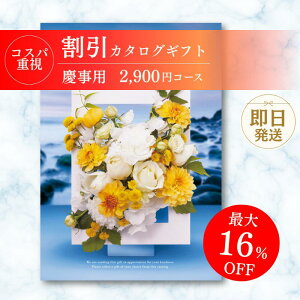 yJ^OMtgz  RXpd 2900~R[X  J^OMtg[J[ ŐV j oYj j jMtgZbg v[g lC a  bsO bZ[