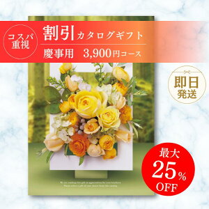 yJ^OMtgz  RXpd 3900~R[X  J^OMtg[J[ ŐV j oYj j jMtgZbg v[g lC a  bsO bZ[