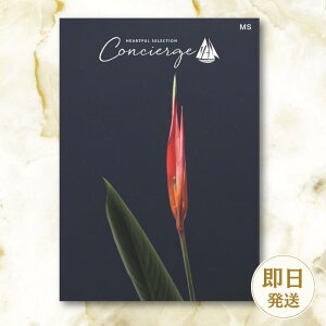 yJ^OMtgzn[gtZNVRVFW 50000~R[X j Ԃ MtgJ^O O oYj j Cj ސEj  o o LOi 