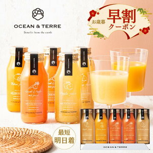 yΕzOCEANTERRE I[Ve[ W[XZbgK Mtg ʏ`100 ݕ hN \tghN lߍ킹 a oYj j oYj j o j 