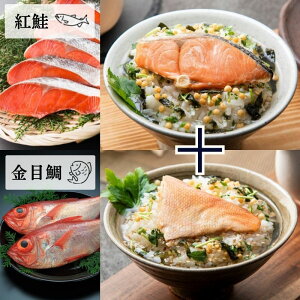 y 1000~|bL zЂ  2HZbg Ђ Ђ  v`Mtg v` Mtg y O lR|X   ڑ 炱 ق  ttO Y