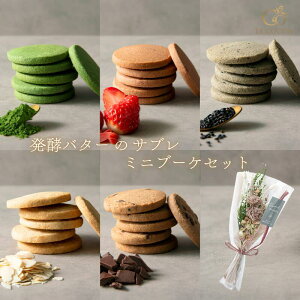 yz ԑ Tu Mtg Zbg v[g  vU[uht[ ~j u[P 蕨  XC[c َq NbL[  `R  Ăَq 퉷ۑ  a C